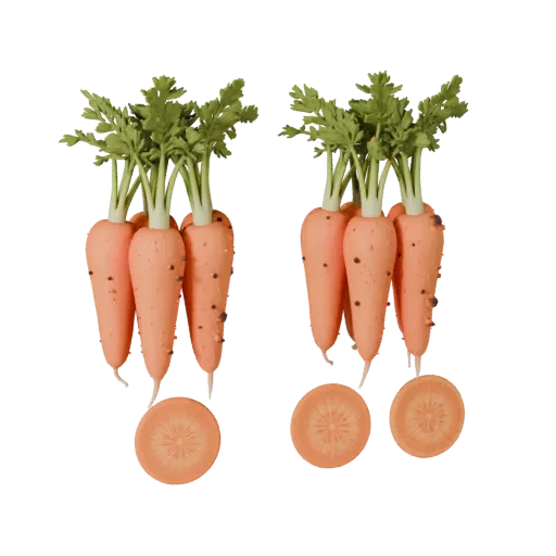 Organic Carrot Bunch 3D model, three-quarter front view, AR viewer studio render, showing leaf veins, form detail.