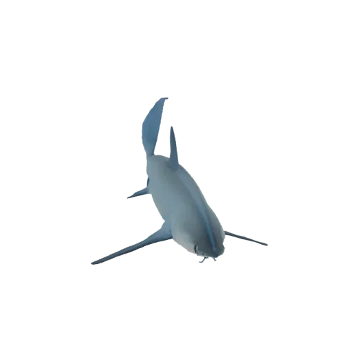 A 3D model of a light blue shark, viewed from above and slightly behind, with its fins extended as if swimming.