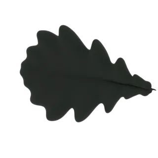 Un modèle 3D d'une seule feuille de chêne sombre avec des bords lobés et des nervures visibles, présenté sur un fond blanc.