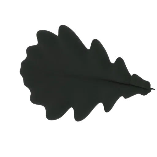 A 3D model of a single, dark oak leaf with lobed edges and visible veins, presented on a white background.