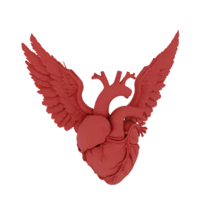 Un rendering 3D di un cuore anatomico rosso con grandi ali spiegate, isolato su sfondo bianco.