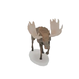 3D model of a majestic moose with large, light-colored antlers, standing on a white base, viewed from the front.