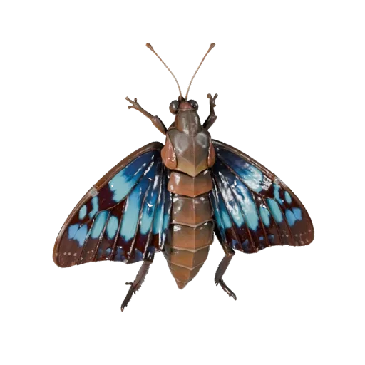 Swallowtail Butterfly 3D Model for Blender - PBR Asset with Textures