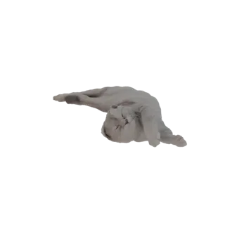 3D model of a light gray cat sleeping peacefully on its side, with its eyes closed and paws tucked in.