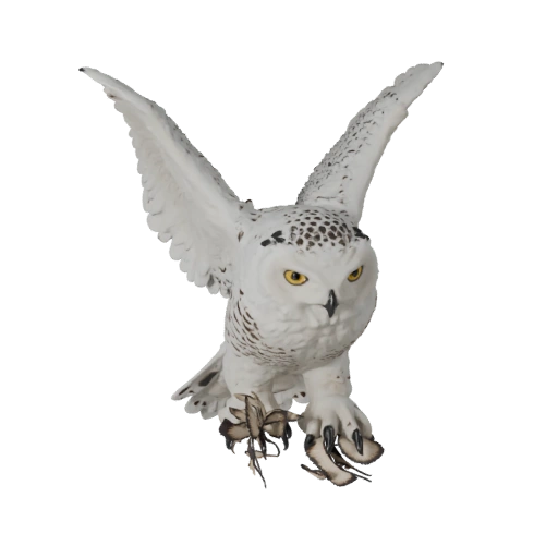 Chouette Harfang Réaliste 3D - Asset PBR Riggué pour Jeux | PBR