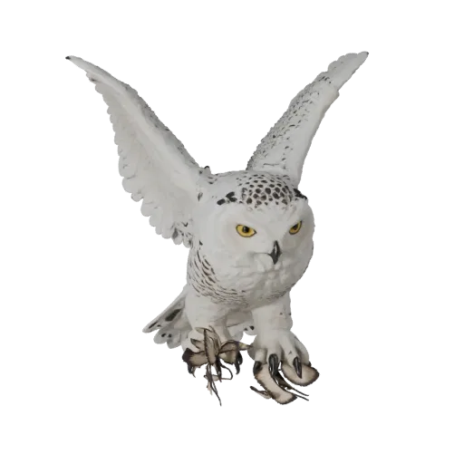 Realistic Snowy Owl 3D Model - Rigged PBR Asset for Games | PBR