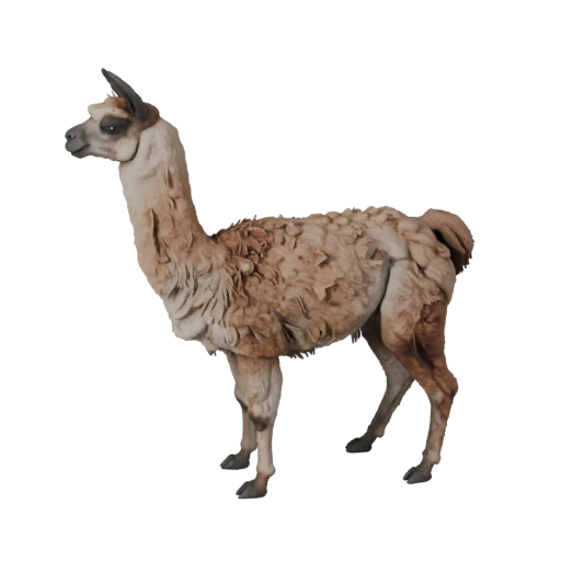 Modelo 3D de Lhama para Unity - Asset Pronto para Jogo, FBX | Livre de Royalties