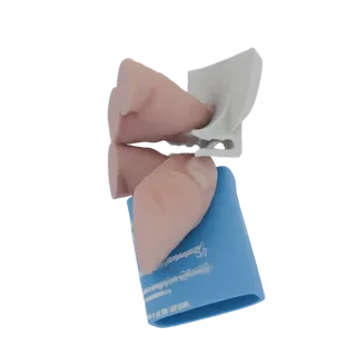 3D model of human nasal turbinates with a light pink silicone nasal insert, showcasing detailed anatomical structures against