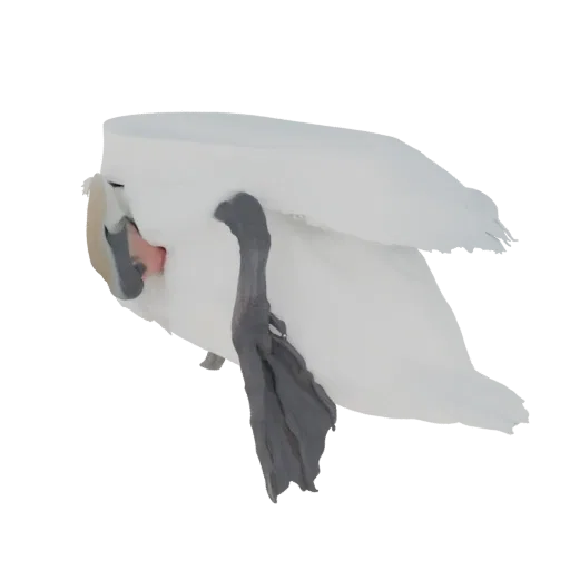3D model of a white swan with its head tucked down and its webbed feet visible, against a black background.