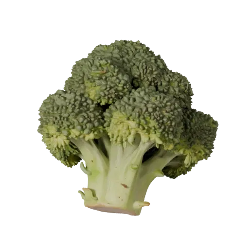 Garden Broccoli Head Realistic 3D model, three-quarter studio render, showing leaf veins, clear vegetable silhouettes.