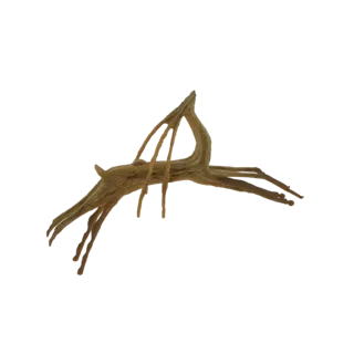 Modèle 3D d'une racine tortueuse et sinueuse avec des vrilles délicates, rendu avec une texture de bois naturel.