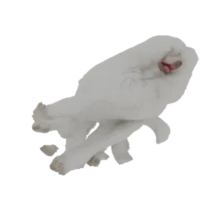 Modelo 3D de um poodle branco fofo em uma pose dinâmica e brincalhona, com a cabeça inclinada e as patas em movimento.