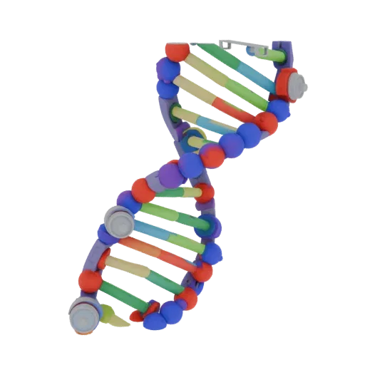 Classroom DNA Helix 3D model, side profile view, technical viewport render, showing colored spheres, molecule layout.