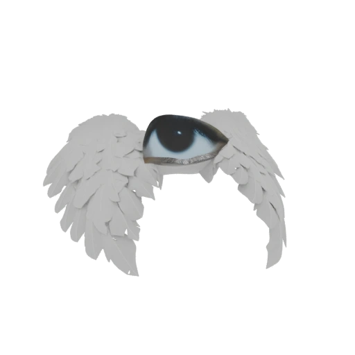 Angel Wings with Eye