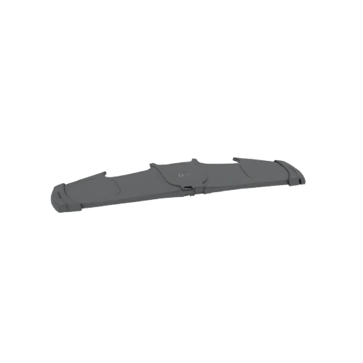 Gray Protective Case with Buckle Closure