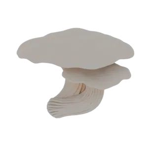 3D model of a pale oyster mushroom with a layered cap and detailed gills, set against a white background.