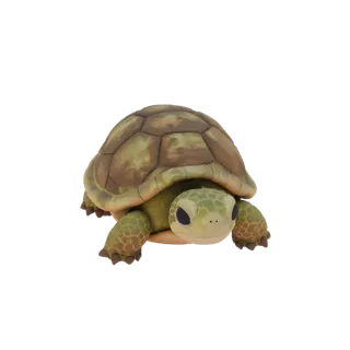 3D model of a cartoon turtle with a green shell and kind eyes, on a white background