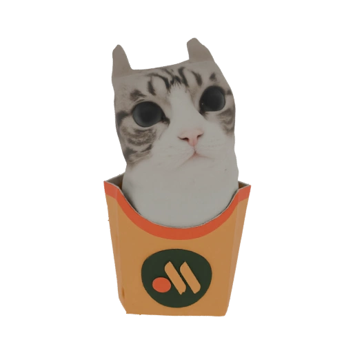 Cat in Fast Food Box