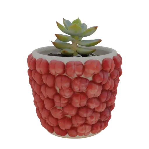 3D model of a white ceramic planter pot covered in red raspberry drupelets, with a succulent plant inside.