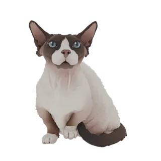 3D model of a Devon Rex cat sitting with blue eyes and large ears, white and brown fur texture, isolated on white background.