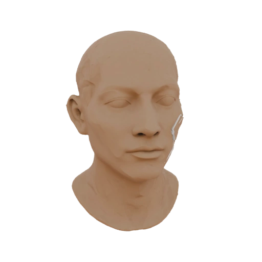 Face Sculpture with Damaged Cheek