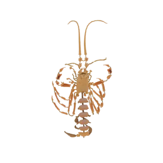 A detailed 3D model of an ornate scorpion, viewed from above, with its tail curved over its body and pincers extended.