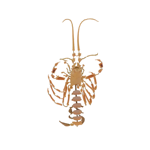 A detailed 3D model of an ornate scorpion, viewed from above, with its tail curved over its body and pincers extended.