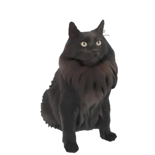 A 3D model of a fluffy black cat with bright yellow eyes, sitting attentively with a thick ruff of fur around its neck.