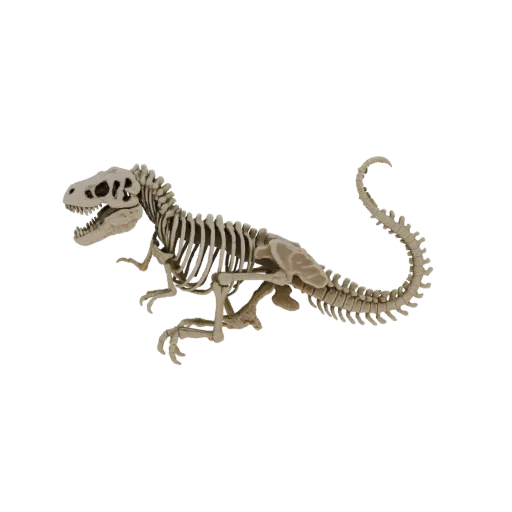 A detailed 3D model of a dinosaur skeleton, posed dynamically with its mouth open, against a white background.