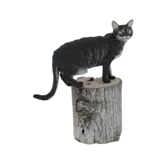3D-Modell einer schwarzen Tabby-Katze mit grauen Streifen, stehend auf einem texturierten Holzstumpf, mit ein paar Grashalmen