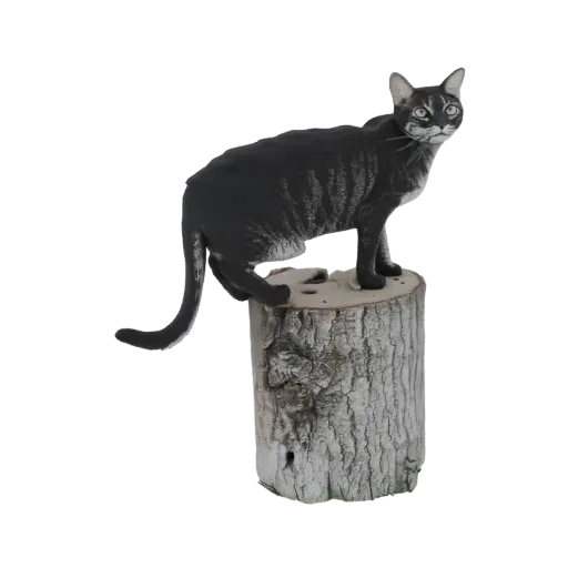3D-Modell einer schwarzen Tabby-Katze mit grauen Streifen, stehend auf einem texturierten Holzstumpf, mit ein paar Grashalmen