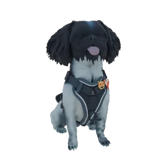 3D model of a cute small dog sitting, wearing a dark gray harness with a smiley face charm.
