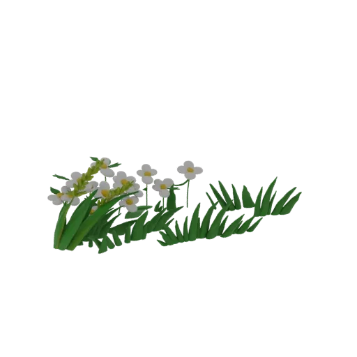3D-Render einer Ansammlung weißer Frühlingsblumen mit gelben Zentren, umgeben von saftigen grünen Grashalmen, auf weißem Hint