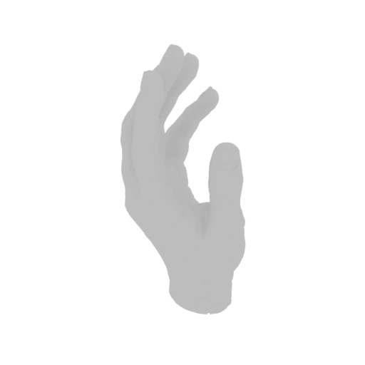 3D Model of a Human Hand