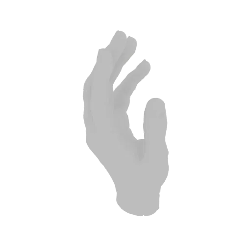 A grayscale 3D model of a human hand in a neutral, open pose, viewed from the side.