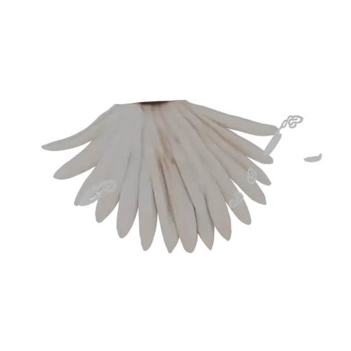 3D model of a fanned-out cluster of realistic eagle tail feathers, with detailed textures and natural coloration.
