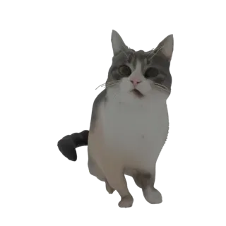 Un rendering 3D di un gatto tabby curioso con pelo grigio e bianco, testa inclinata e bocca leggermente aperta, che guarda ve