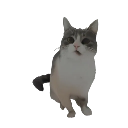 Un rendering 3D di un gatto tabby curioso con pelo grigio e bianco, testa inclinata e bocca leggermente aperta, che guarda ve