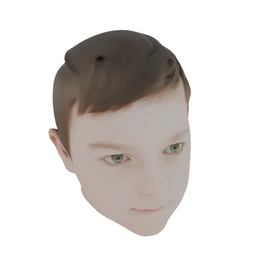 3D model of a young boy's head with brown hair and green eyes, presented on a white background.
