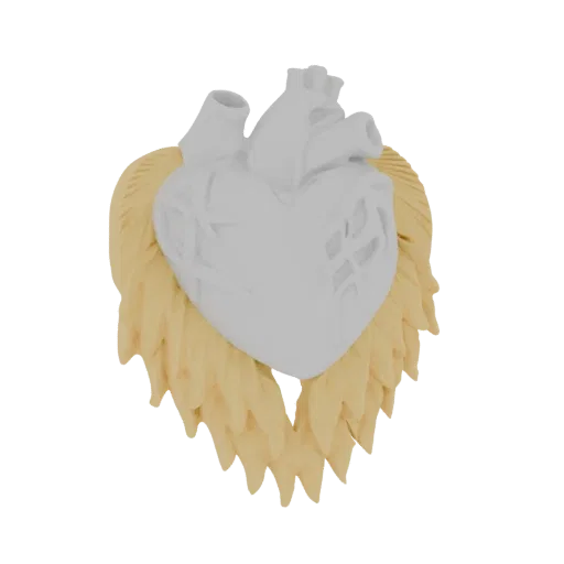 3D model of a white anatomical heart with intricate details, surrounded by golden, feathered wings.