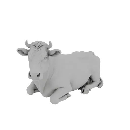 A 3D model of a white cow lying down, with its head turned slightly to the left, on a black background.