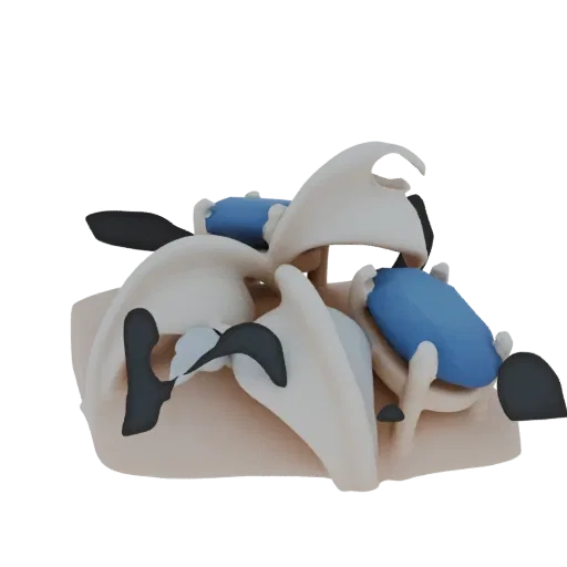 3D render of an abstract organic sculpture with flowing cream, black, and blue shapes, presented on a white background.