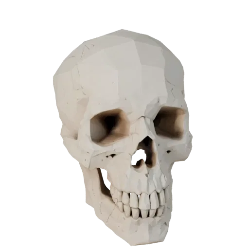 Skull Low Poly 3D model, game viewport three-quarter view, showing bone surfaces, skeletal landmarks.