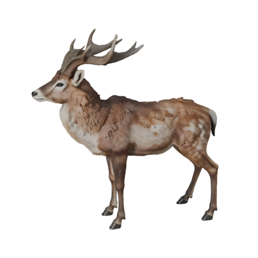 Modèle 3D Antilope réaliste - Asset PBR riggé pour jeux | PBR