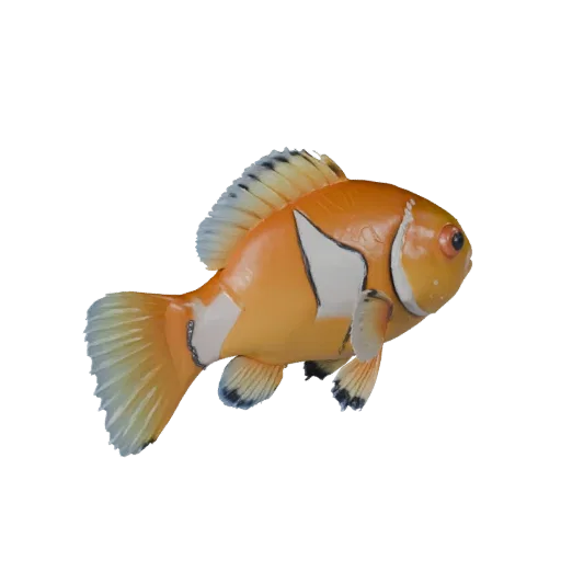 Modelo 3D de pez payaso, vista lateral de cámara de gameplay, activo de animal listo para Unity con membranas de aletas, estr