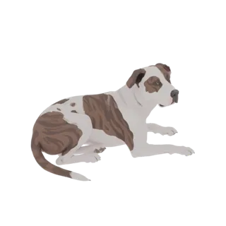 A 3D model of a brindle and white Pitbull dog lying down, showcasing its distinctive coat pattern and relaxed posture.