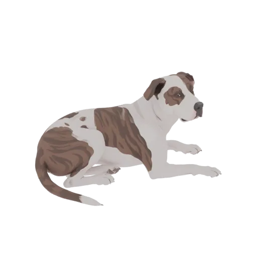 A 3D model of a brindle and white Pitbull dog lying down, showcasing its distinctive coat pattern and relaxed posture.