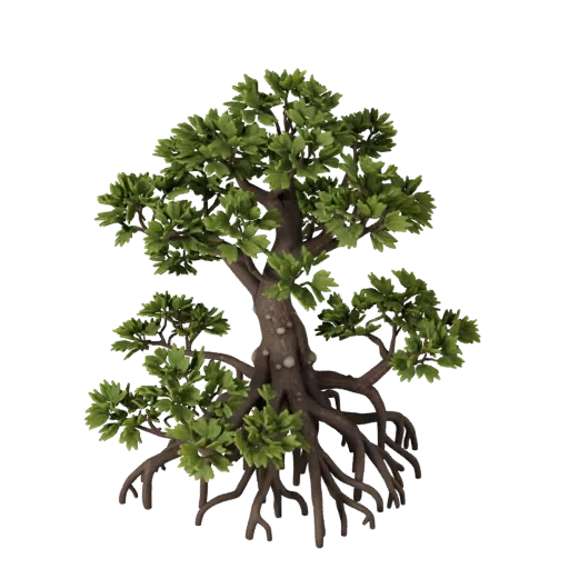 Swamp Mangrove Roots High Poly 3D model, close-up cinematic environment render, showing leaf clusters, terrain detail.