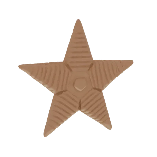 A 3D render of a bronze-colored star emblem with detailed embossed lines on each point and a central pentagonal shape, set ag