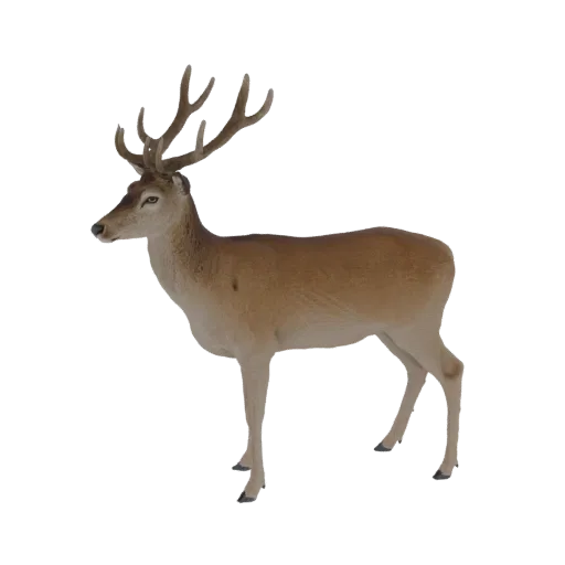 A detailed 3D model of a majestic stag with large antlers, standing alert on a white background.